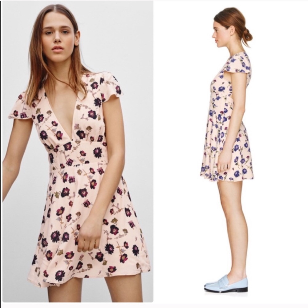 Aritzia Sunday Best Floral Rand Dress